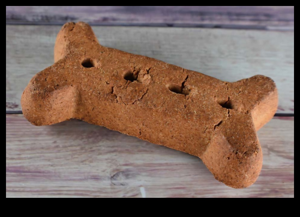 DIY Crafts for Pet Lovers: Creating Handmade Treats and Toys