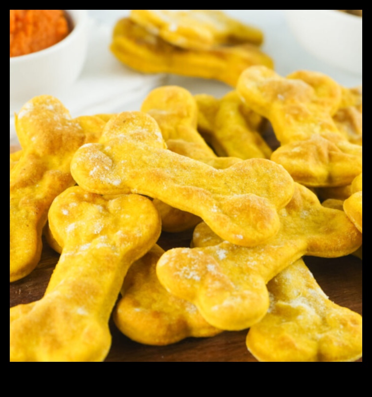 DIY Crafts for Pet Lovers: Creating Handmade Treats and Toys