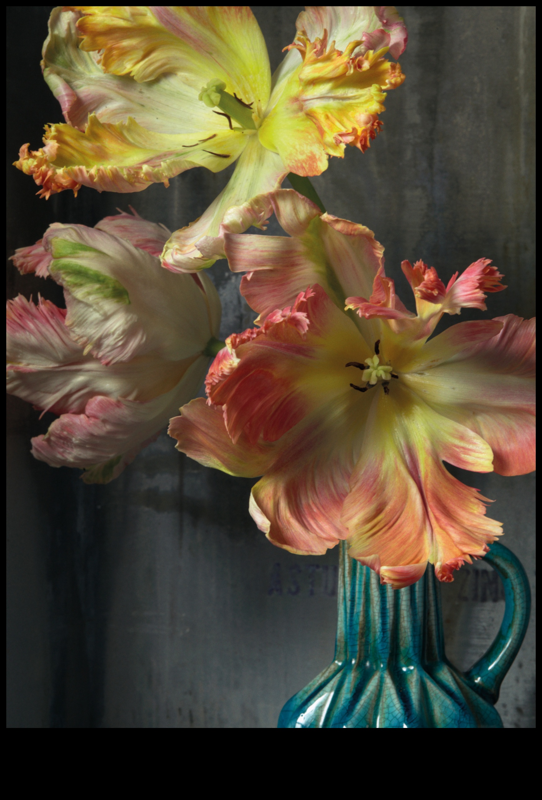 Bursting Blooms: Techniques for Achieving Explosive Floral Photography