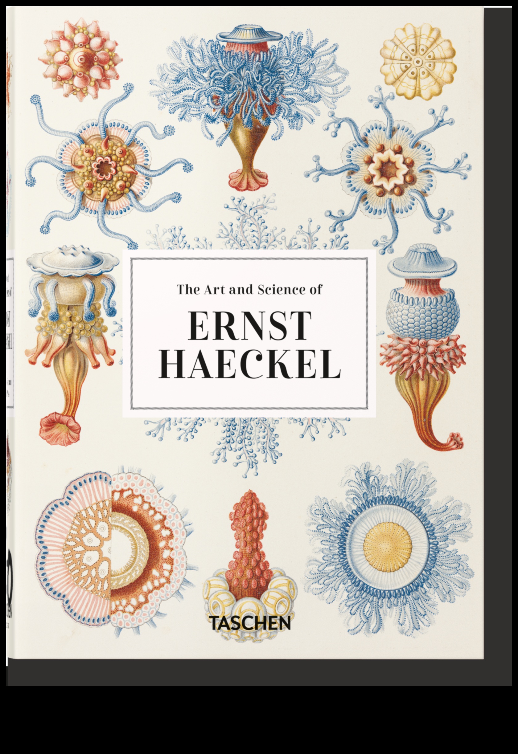Η Ομορφιά της Ακρίβειας Δημιουργώντας Επιστημονική και Τεχνική Τέχνη 4 The Beauty of Precision: Creating Science and Technical Art