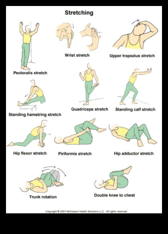 Stretching Essentials Ένας οδηγός για την καθημερινή ευελιξία 5 Stretching Essentials: Δημιουργία σχεδίου για καθημερινή ευελιξία