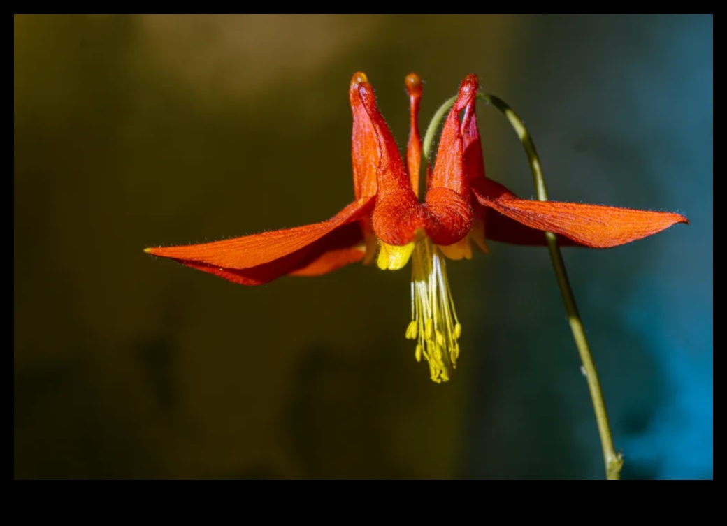 Miniature Marvels: Crafting Visual Stories Through Macro Lens