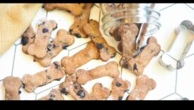 DIY Dog Treats 10 εύκολες συνταγές για τον γούνινο φίλο σας 6 DIY Crafts for Pet Lovers: Creating Handmade Treats and Toys