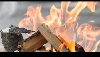 The Art of Woodburning: Crafting with Pyrography Techniques