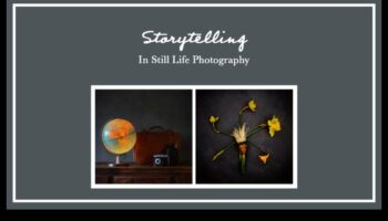 Η Γλώσσα των Αντικειμένων: Αφηγήσεις Νεκρής Φύσης