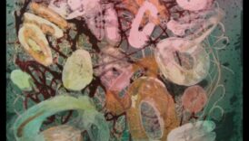 Η Ελκυστικότητα της Ακρίβειας Δημιουργώντας Κλινική και Μέθοδος Έργο τέχνης 4 The Beauty of Precision: Creating Science and Technical Art