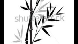 Μινιμαλιστικά σχέδια με μελάνι Μια διαχρονική τύπος τέχνης 2 The Beauty of Simplicity: Minimalist Ink Drawings