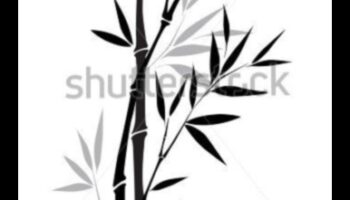 The Beauty of Simplicity: Minimalist Ink Drawings